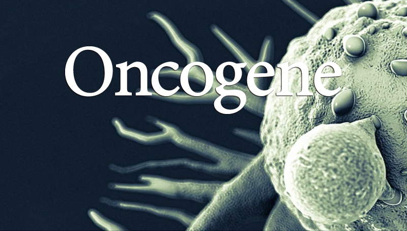 中國(guó)科學(xué)院上海營(yíng)養(yǎng)與健康研究院科研人員發(fā)現(xiàn)hnRNPK調(diào)控的MRPL33剪接在結(jié)腸癌中的重要功能