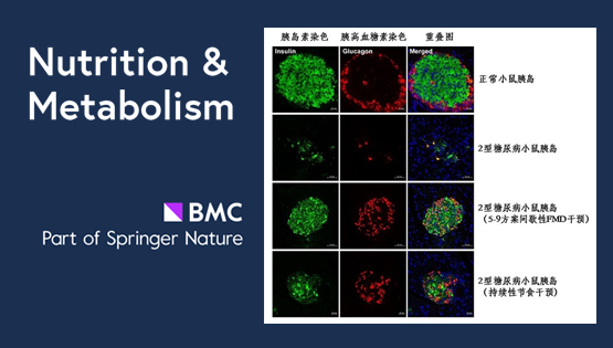 陳雁研究組揭秘間歇性節(jié)食和持續(xù)性節(jié)食對于控制糖尿病孰優(yōu)孰劣