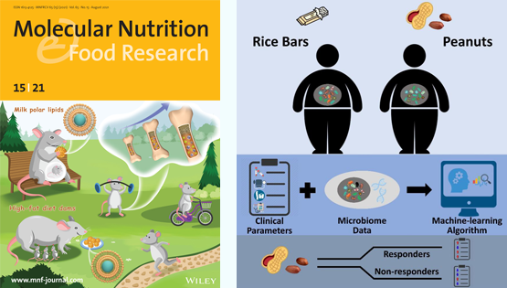 營養(yǎng)與健康所陳雁、林旭研究組利用腸道菌群分析和機器學(xué)習(xí)算法揭示精準營養(yǎng)在干預(yù)代謝綜合征中的作用