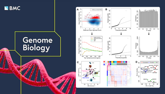 營養(yǎng)與健康所邵振研究組發(fā)展ChIP/ATAC-seq高變信號檢測的表觀組異質(zhì)性分析統(tǒng)計模型HyperChIP