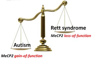 當猴子患上了自閉癥
