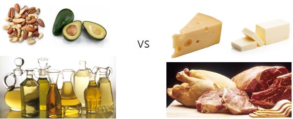 一種特定脂肪的食用指南