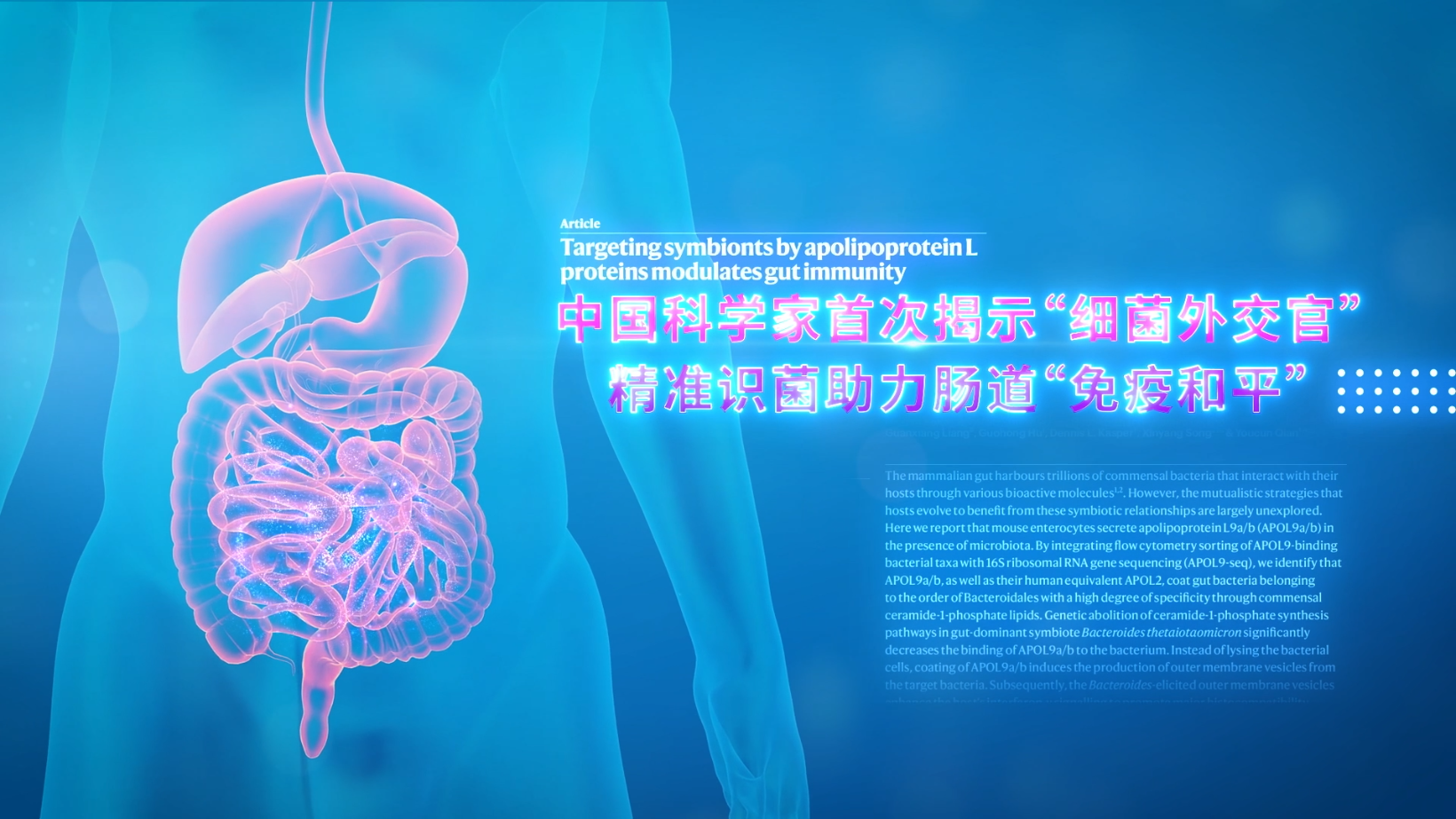 科普視頻|中國科學(xué)家首次揭示“細(xì)菌外交官”?精準(zhǔn)識菌助力腸道“免疫和平”