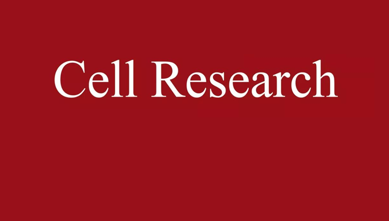 上海生科院(人口健康領(lǐng)域)科研人員合作開發(fā)一種增強型基因組堿基編輯器
