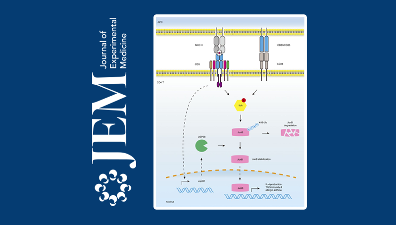 錢友存研究組報道調(diào)節(jié)哮喘發(fā)病的新機制