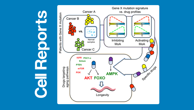 韓敬東研究組構(gòu)建基于癌癥基因組學的非組織特異標簽的藥物重定位新方法