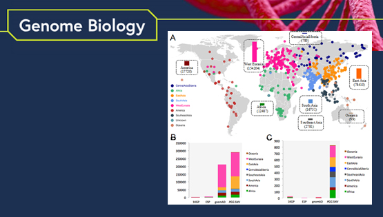 徐書華研究組發(fā)布全基因組單核苷酸變異數(shù)據(jù)庫(kù)、涵蓋近千個(gè)現(xiàn)存和古人族群
