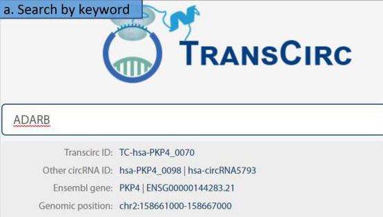 王澤峰研究組與生物醫(yī)學大數(shù)據(jù)中心合作在線發(fā)布可翻譯環(huán)形RNA數(shù)據(jù)庫