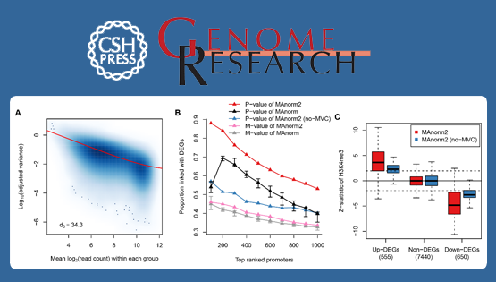 邵振研究組建立用于多樣本ChIP-seq數(shù)據(jù)分組定量比較的MAnorm2計算模型