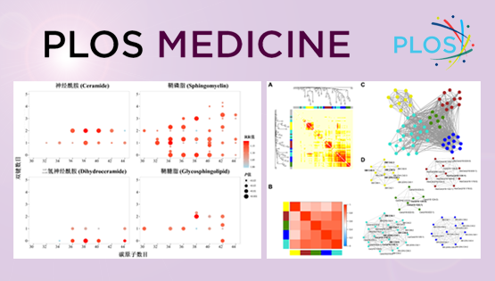 林旭研究組在鞘脂生物標(biāo)記物與2型糖尿病發(fā)病風(fēng)險(xiǎn)研究方面取得進(jìn)展