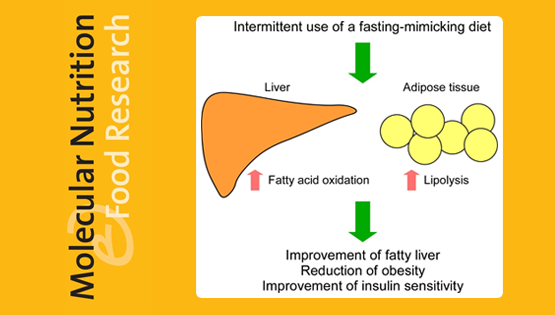 營(yíng)養(yǎng)與健康所陳雁研究組發(fā)現(xiàn)間歇性節(jié)食可以改善脂肪肝