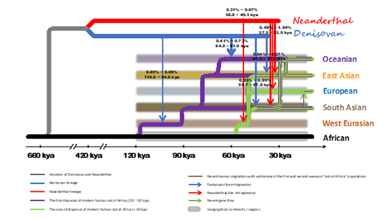 徐書華團(tuán)隊(duì)發(fā)展新方法<em>ArchaicSeeker 2.0</em> 重塑史前人類基因交流與演化模型