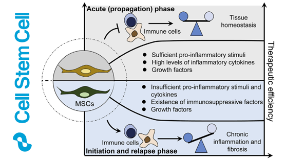 營(yíng)養(yǎng)與健康所王瑩研究員合作撰寫《間充質(zhì)干細(xì)胞與免疫反應(yīng)互作》的特邀綜述