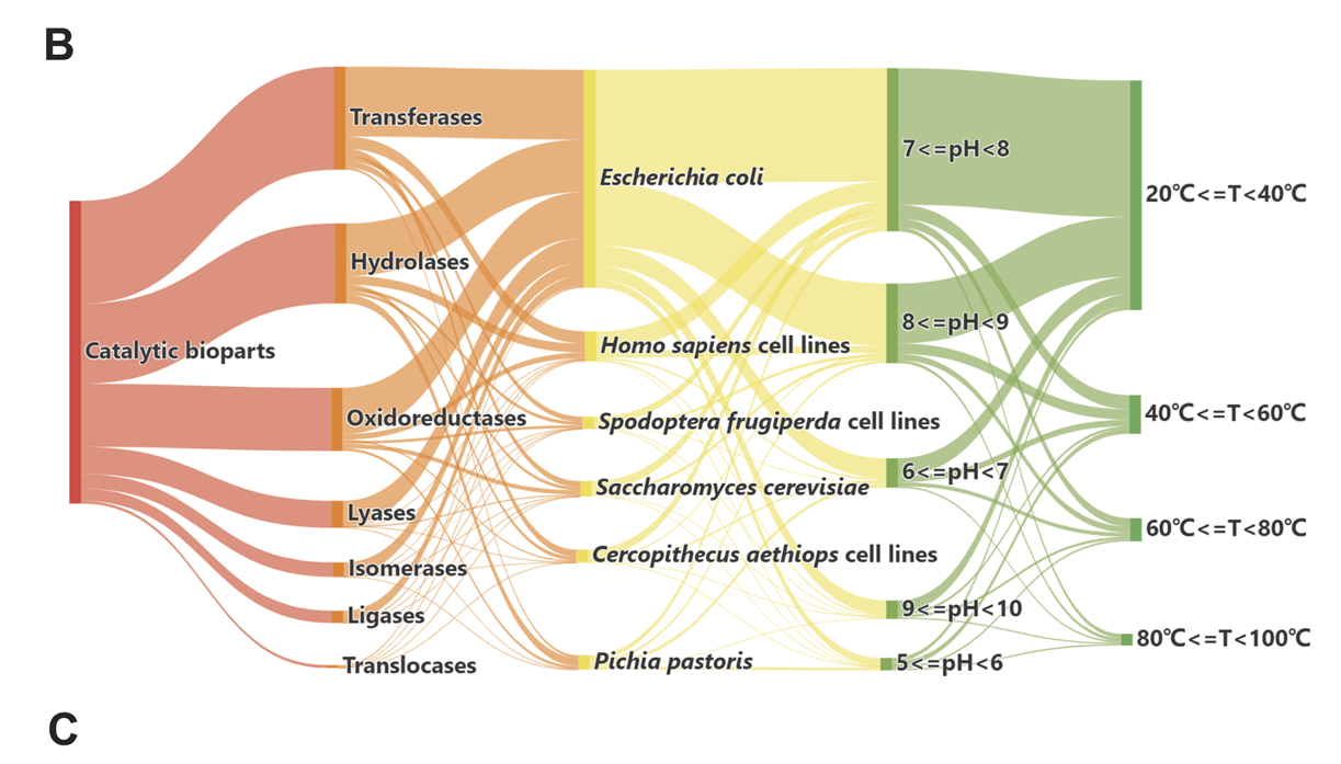 營養(yǎng)與健康所生物醫(yī)學大數(shù)據(jù)中心合作發(fā)布合成生物學元件與數(shù)據(jù)庫
