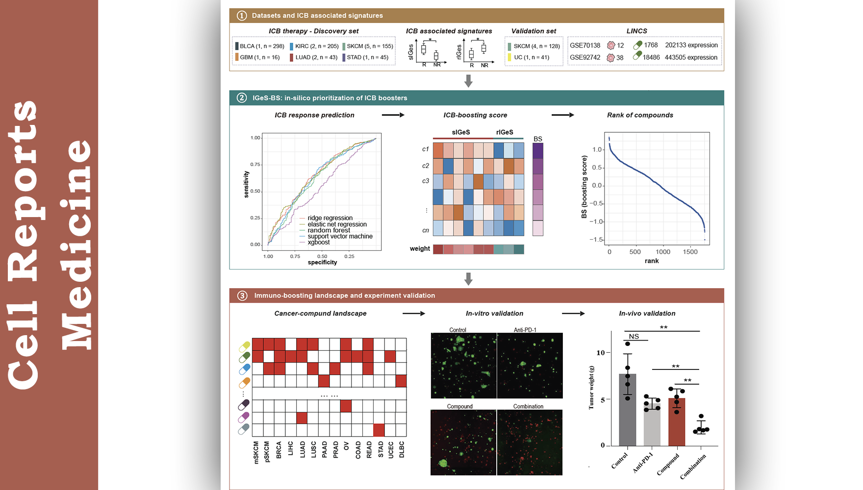 營養(yǎng)與健康所李虹研究組開發(fā)創(chuàng)新計算方法篩選可提升癌癥免疫治療療效的化合物