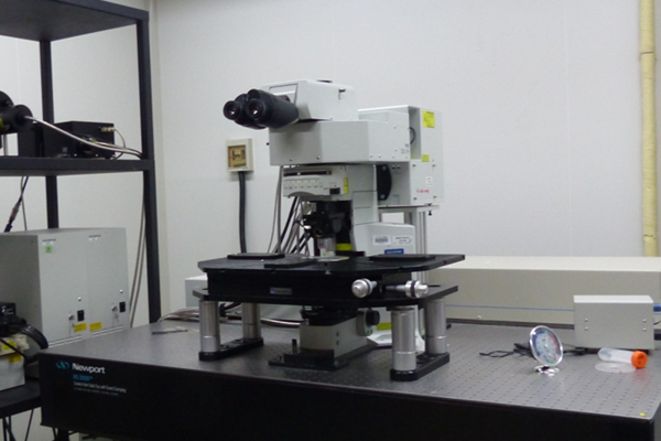 雙光子共聚焦顯微鏡