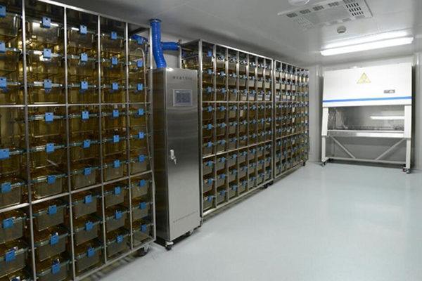 小鼠獨立通風(fēng)系統(tǒng)S8