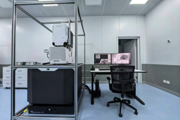 掃描電子顯微鏡